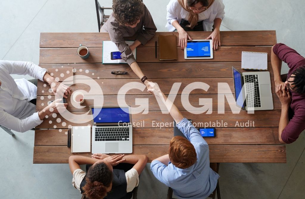 Quelles sont les obligations comptables du CSE ?  GVGM  Expert