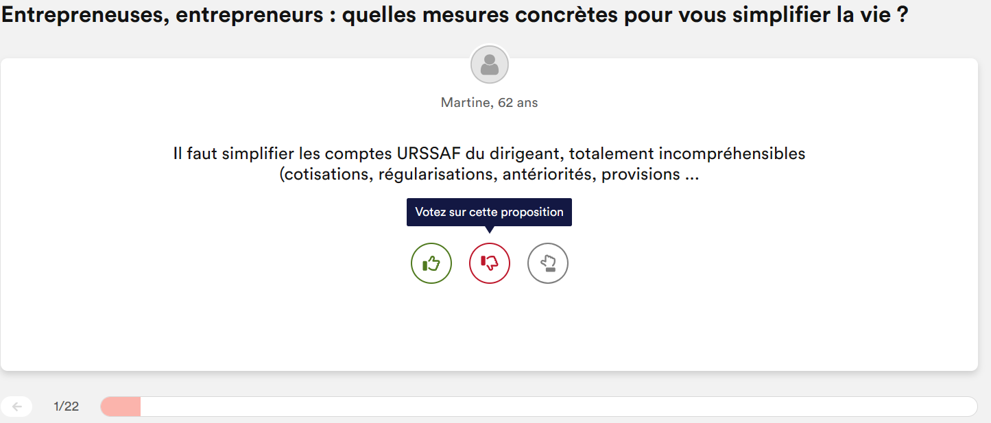 Capture d'écran du questionnaire sous forme de vote pour la consultation publique des chefs d'entreprise